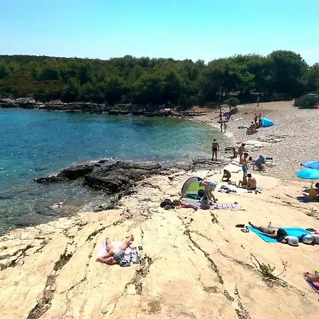 Knezevic *